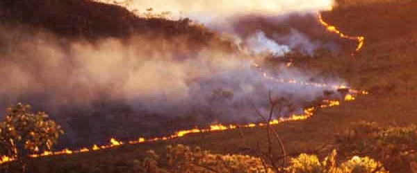 Inc&ecirc;ndio destr&oacute;i 40% do Parque dos Pireneus
