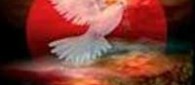 culto culto