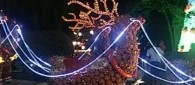 natal2