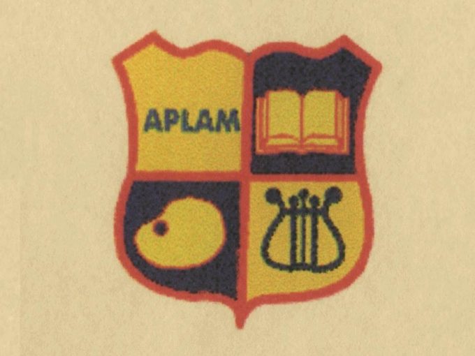 Academia Pirenopolina E Letras Artes E Música