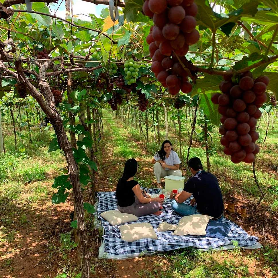 4 Lugares Para Turismo De Natureza Em Pirenópolis Vinícola