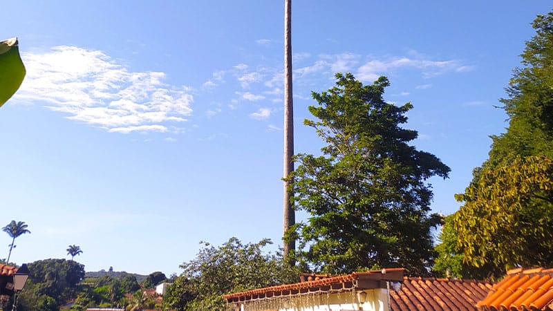 Mercado Imobiliário De Pirenópolis Atrai Investidores Em 2025 Mercado Imobiliário De Pirenópolis Atrai Investidores Em 2025
